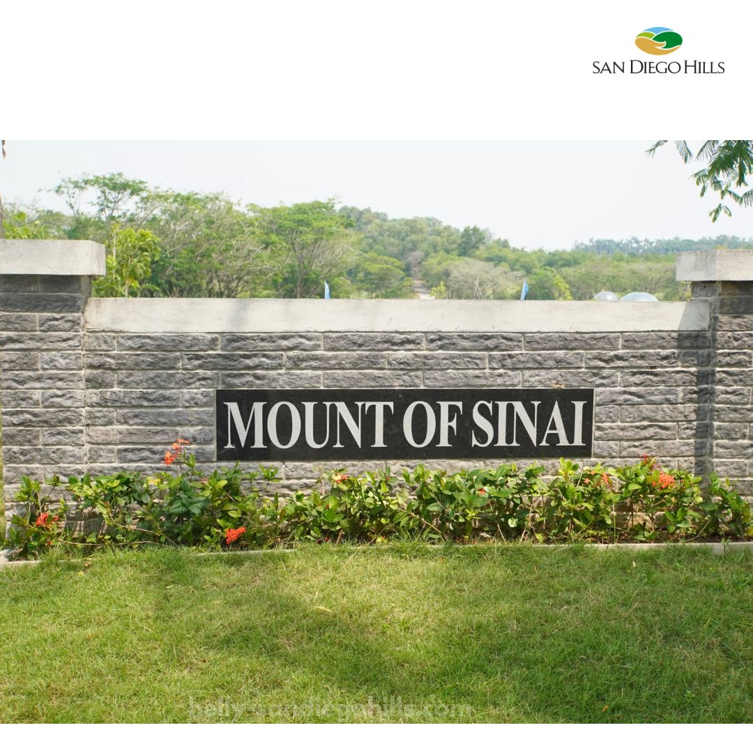 Mount sinai gate